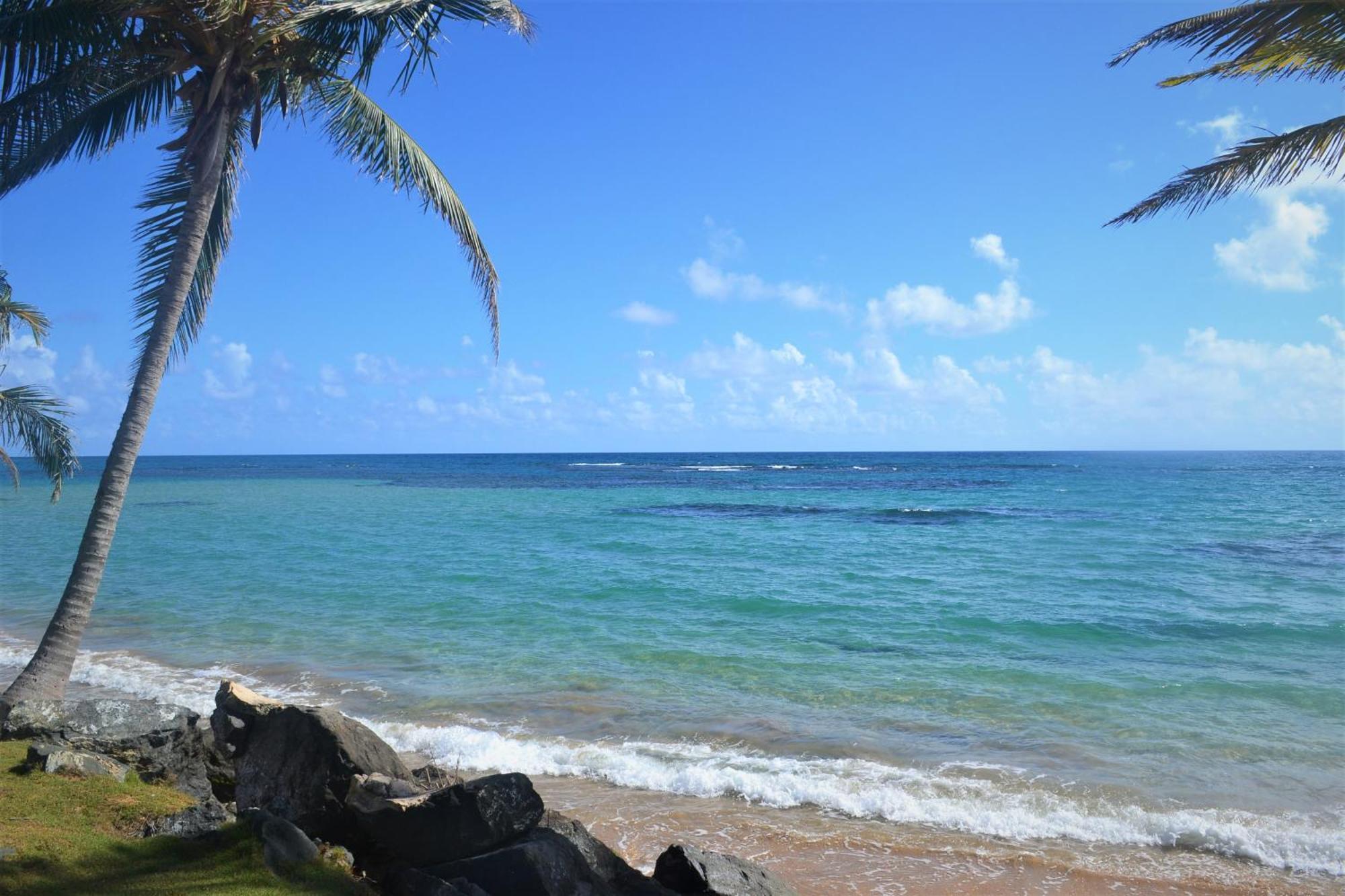 Sonsolea Hotell Luquillo Exteriör bild